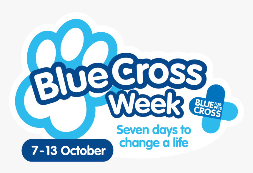 Blue Cross, HD Png Download