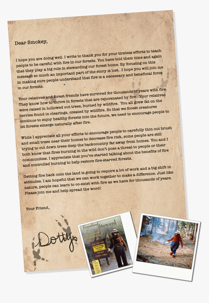 Book, HD Png Download