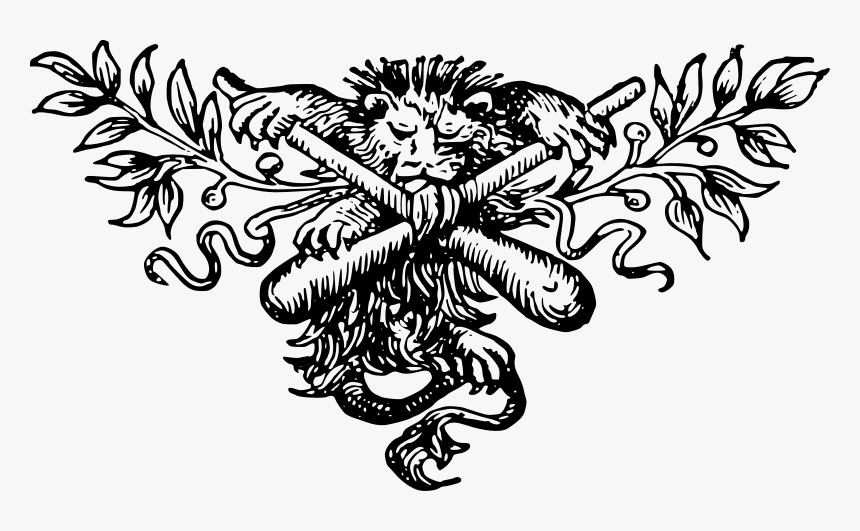 Decorative Divider - Portable Network Graphics, HD Png Download