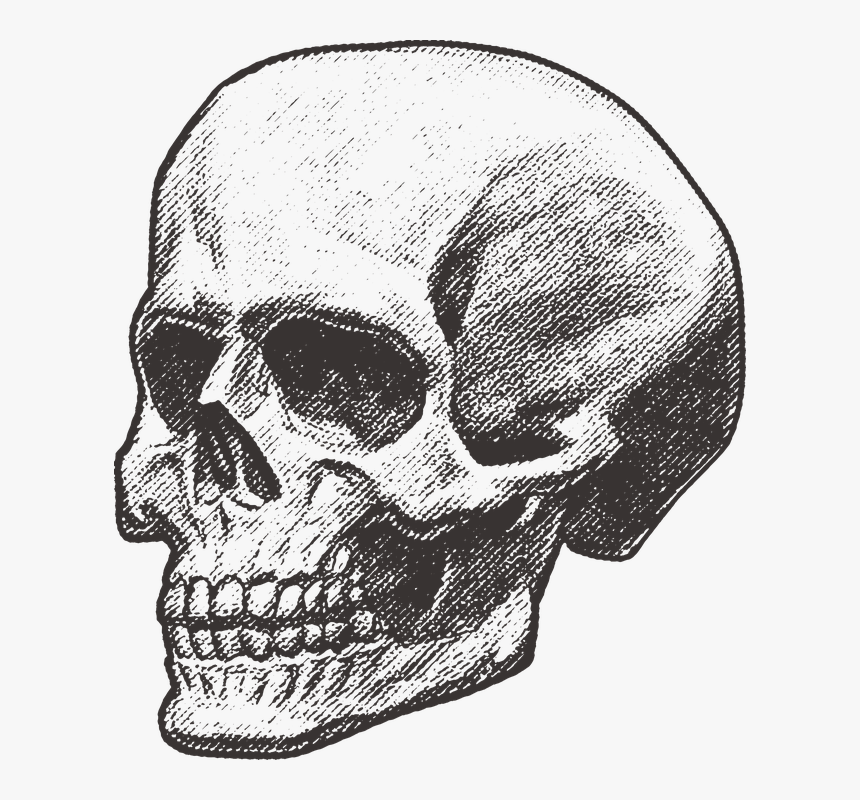 Skull, Pirate, Deadly, Death, Danger, Keys, Halloween - วาด หัว กระ โหล ก, HD Png Download