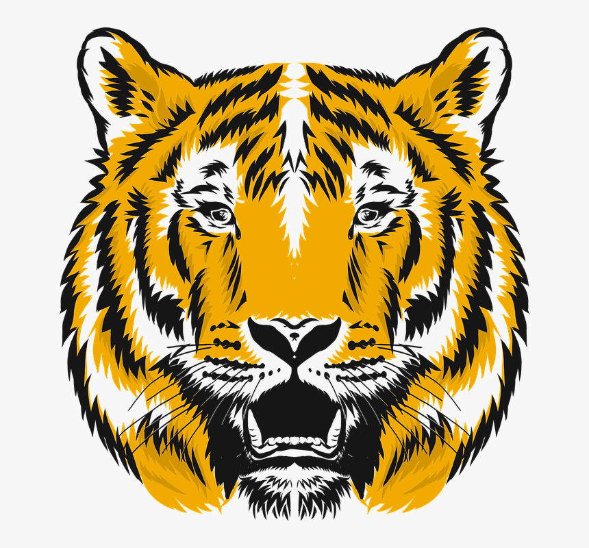 Tiger, HD Png Download