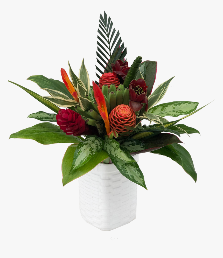 Poinsettia, HD Png Download