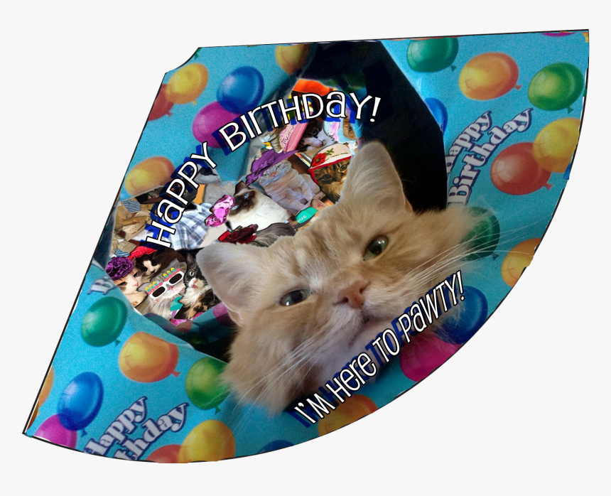 Here To Pawty Birthday Hat - Cat Grabs Treat, HD Png Download
