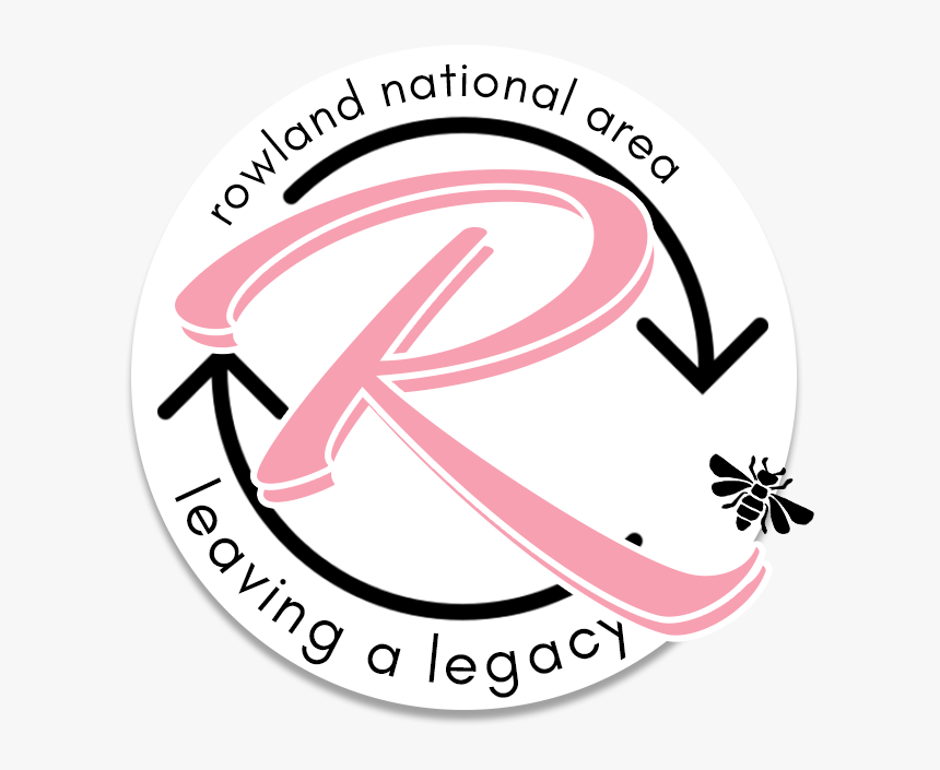 Robin Rowland - Cash In Cash Out, HD Png Download