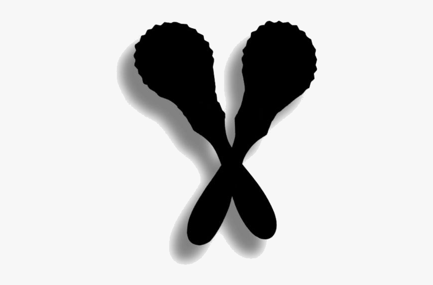 Transparent Latin Maracas Clip Art - Illustration, HD Png Download