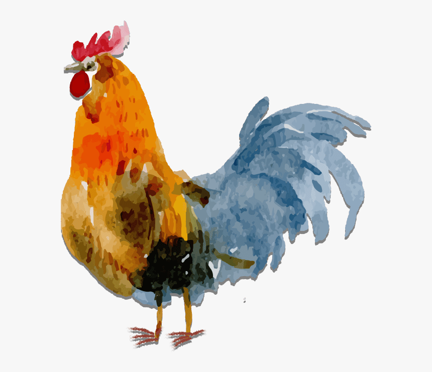 Watercolor Chicken Transparent Background, HD Png Download