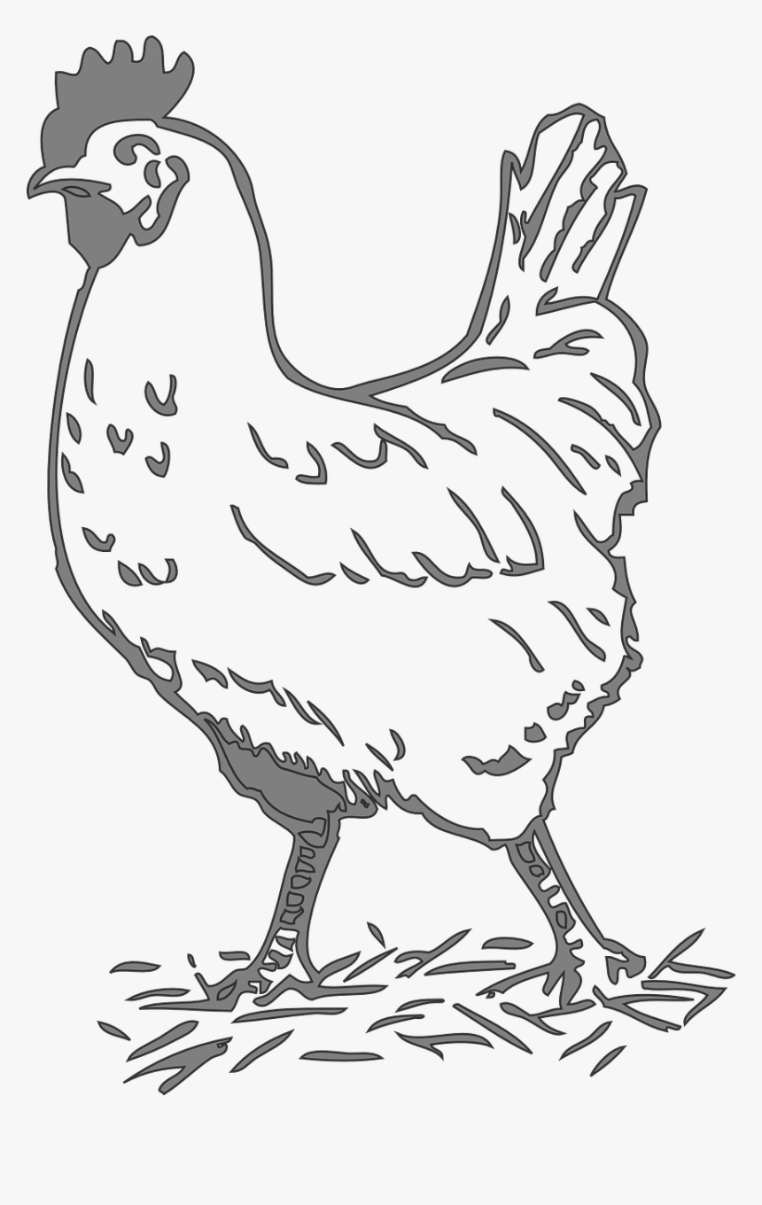 Chicken Black And White Clipart, HD Png Download