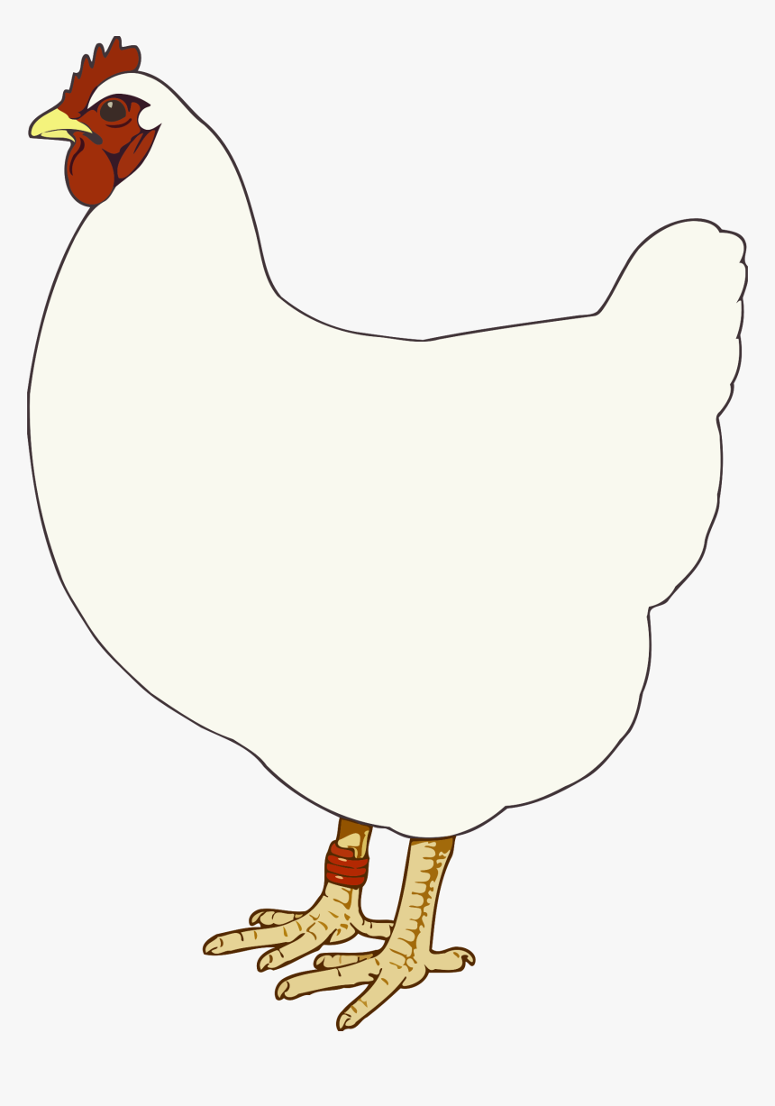 Hen 3 Clip Arts - Rooster, HD Png Download