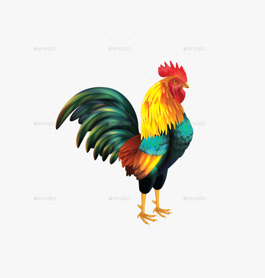 Don T Be A Cock Sucker, HD Png Download