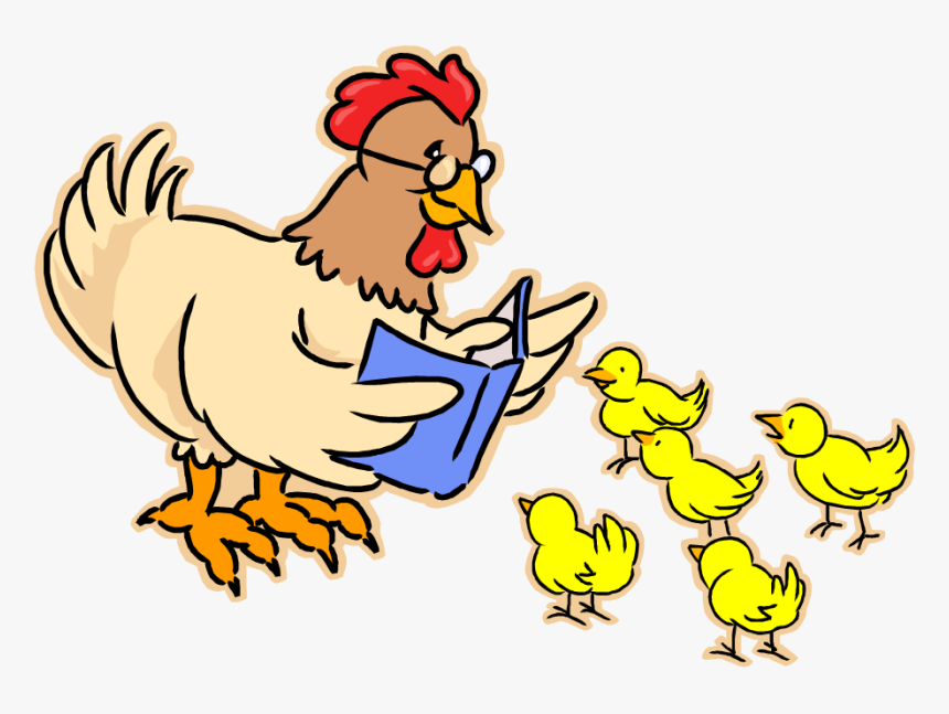 Hen Reading - No Story Time, HD Png Download