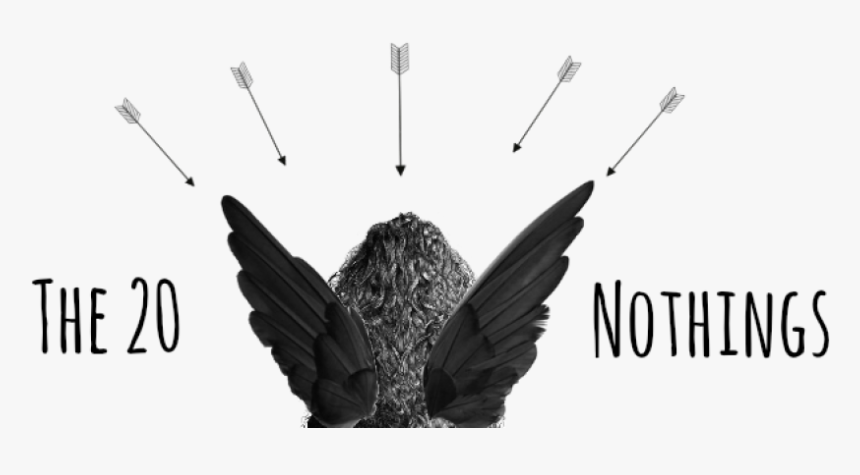 Accipitridae, HD Png Download