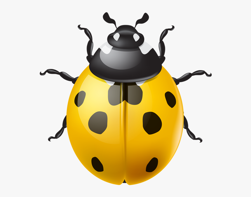 Ladybug Clipart Green Ladybug - Transparent Ladybug Png, Png Download