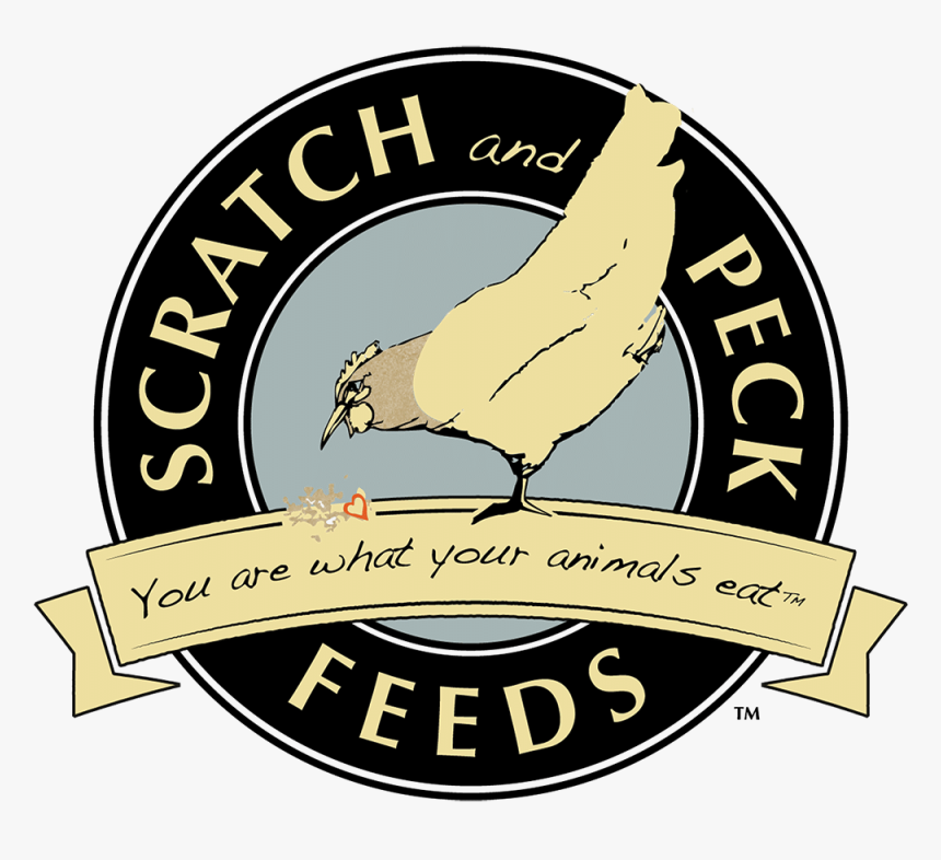 Scratch And Peck, HD Png Download