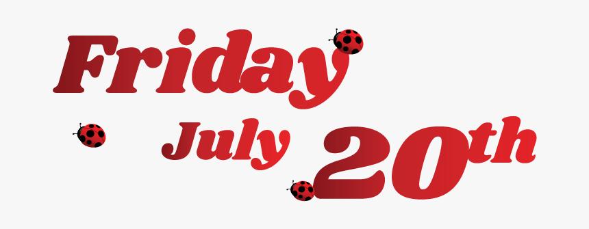 Ladybug, HD Png Download