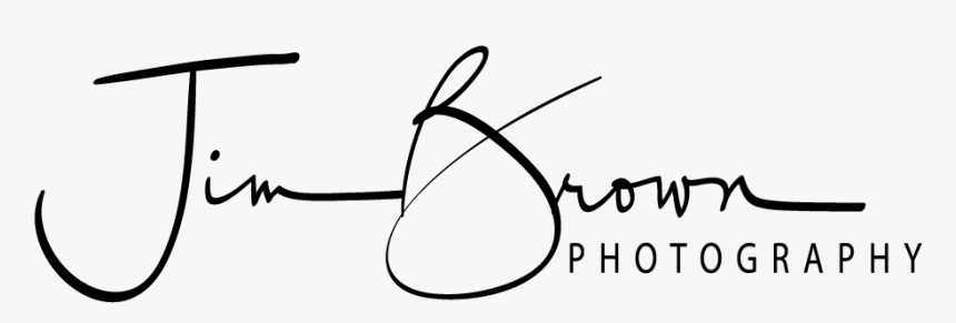 2019 Wedding Season - Calligraphy, HD Png Download