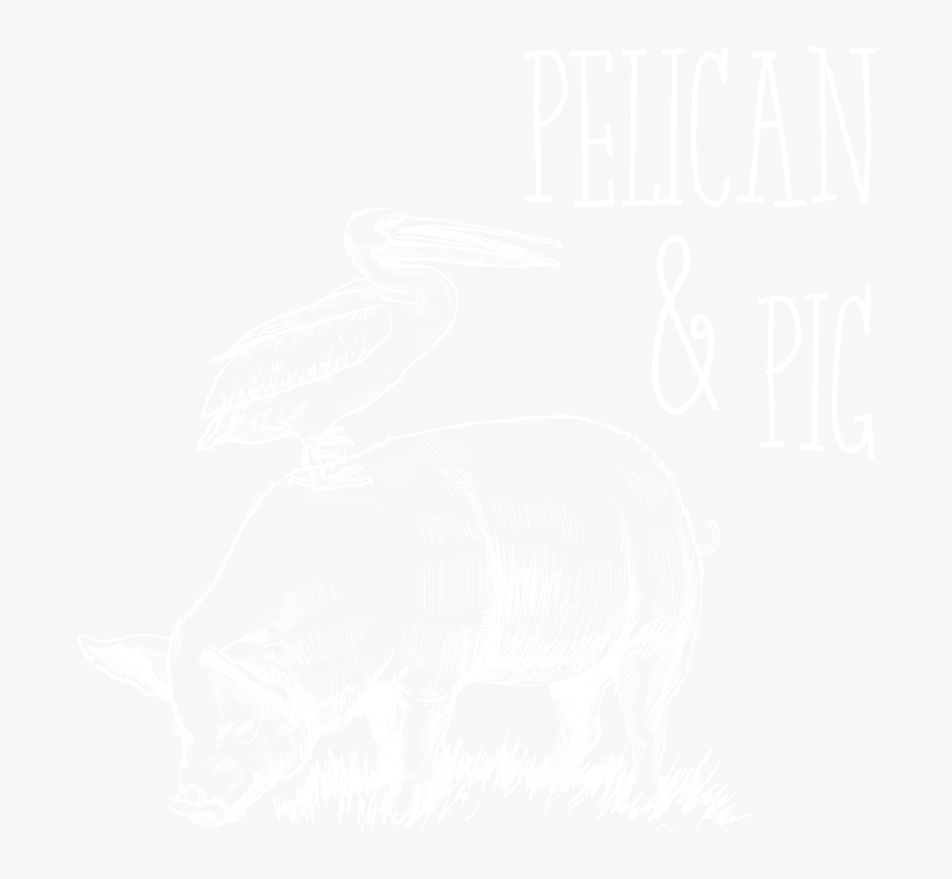 Pelican & Pig For Web - Brown Pelican, HD Png Download