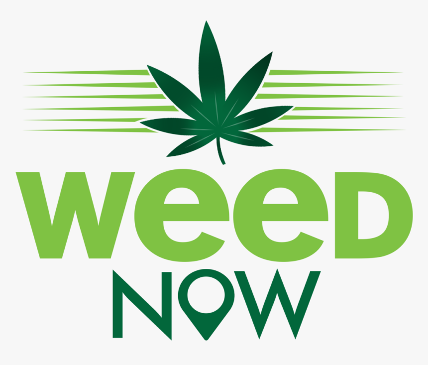 Weed Logo Png - Weed Now, Transparent Png