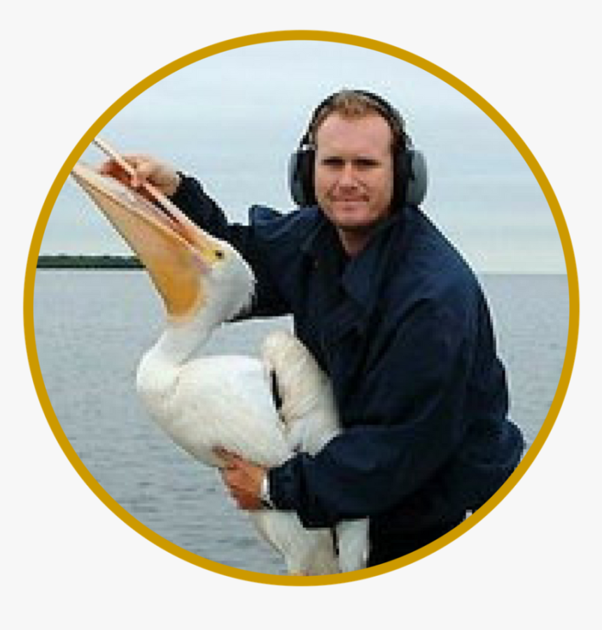 Phstaff Members Circles 8 - Pelican, HD Png Download