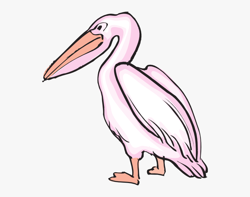 Pelican Clipart, HD Png Download