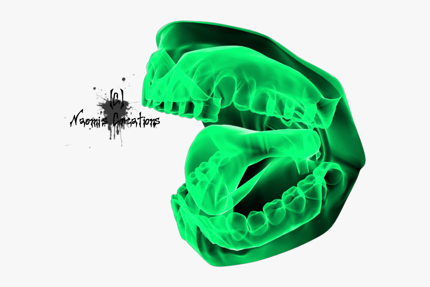 Skull, HD Png Download