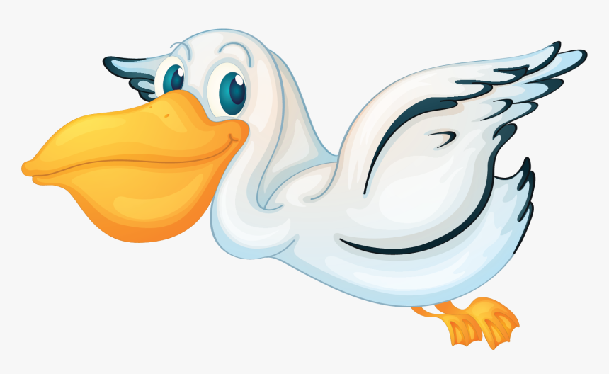 Pelican Cartoon Transparent Background - Transparent Pelican Clipart, HD Png Download