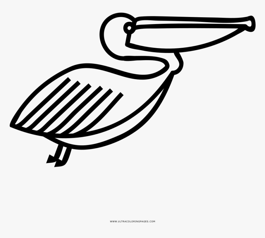 Pelican Coloring Page - Pelican Icon Png, Transparent Png