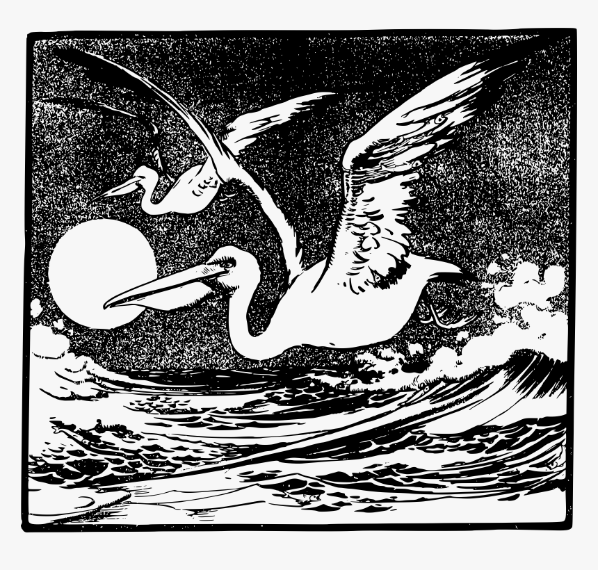 Flying Vector Pelican - Pelican, HD Png Download