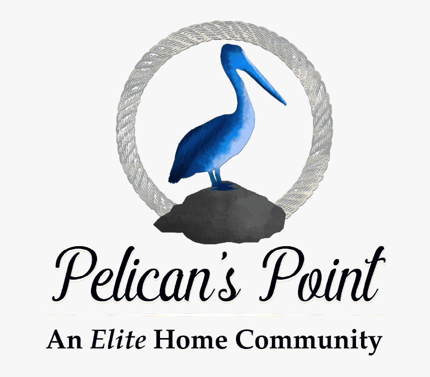 Pelicans Point Subdivision Src - Pelican, HD Png Download