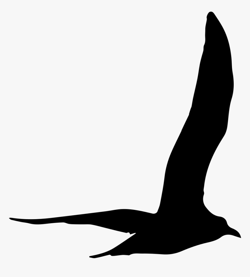 Gull Bird Flying Shape - Gaviota Silueta Png, Transparent Png