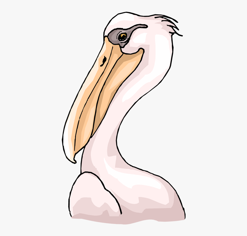 Transparent Pelicans Clipart - Pelican Head Clipart, HD Png Download