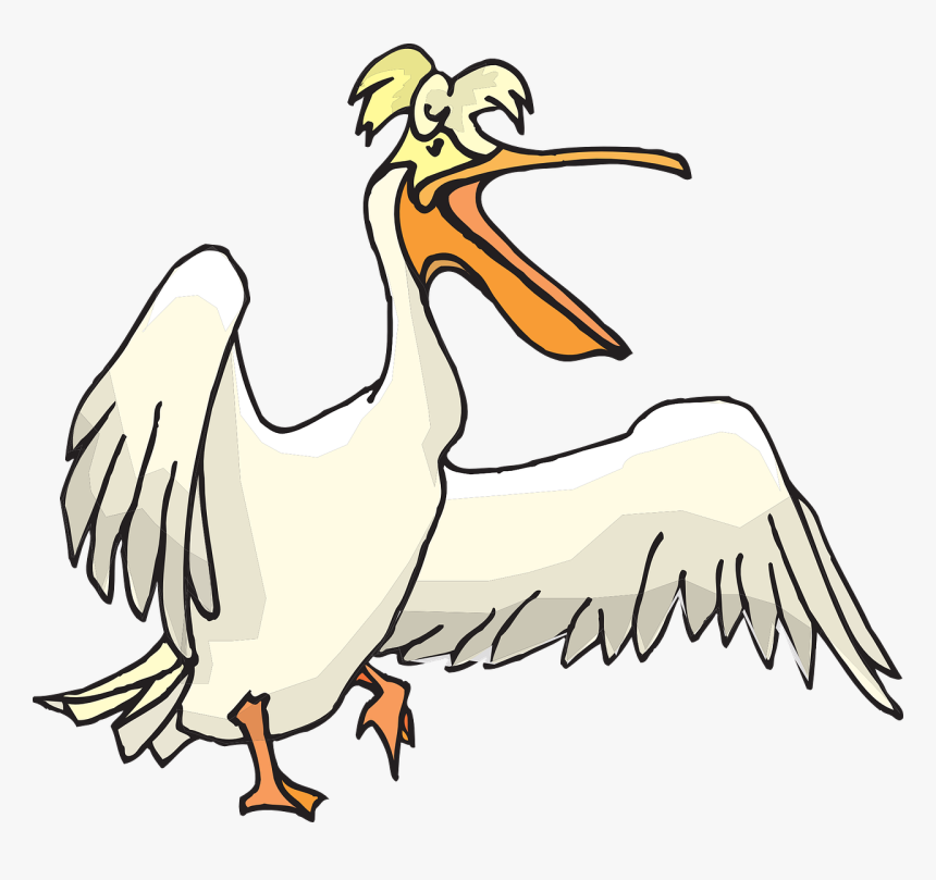 Pelican, Seabird, Pouch, Pelecanus Erythrorhynchos - Pelican Clipart Png, Transparent Png