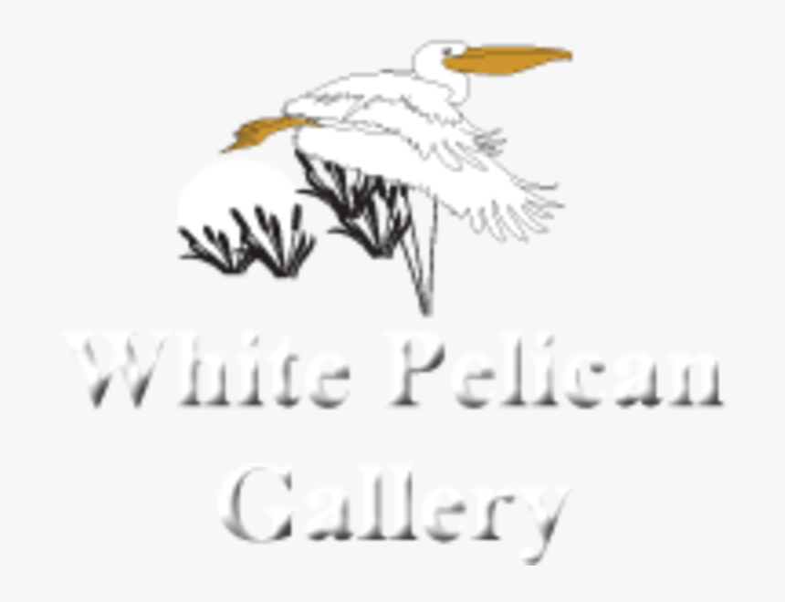 White Pelican Gallery Logo - Seabird, HD Png Download