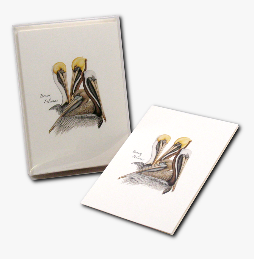 Pelican Png, Transparent Png