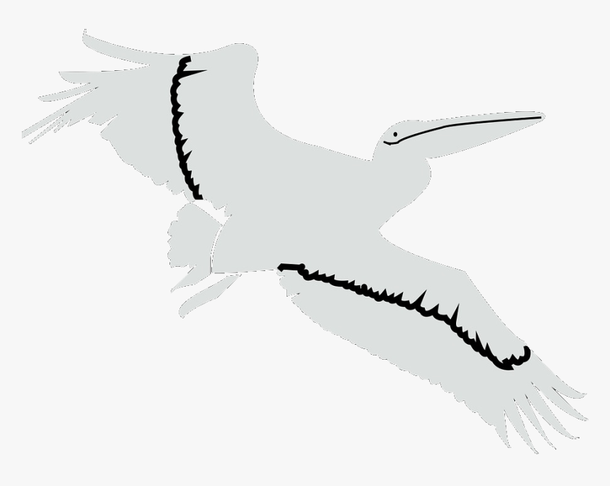 Flying Pelican - White Stork, HD Png Download