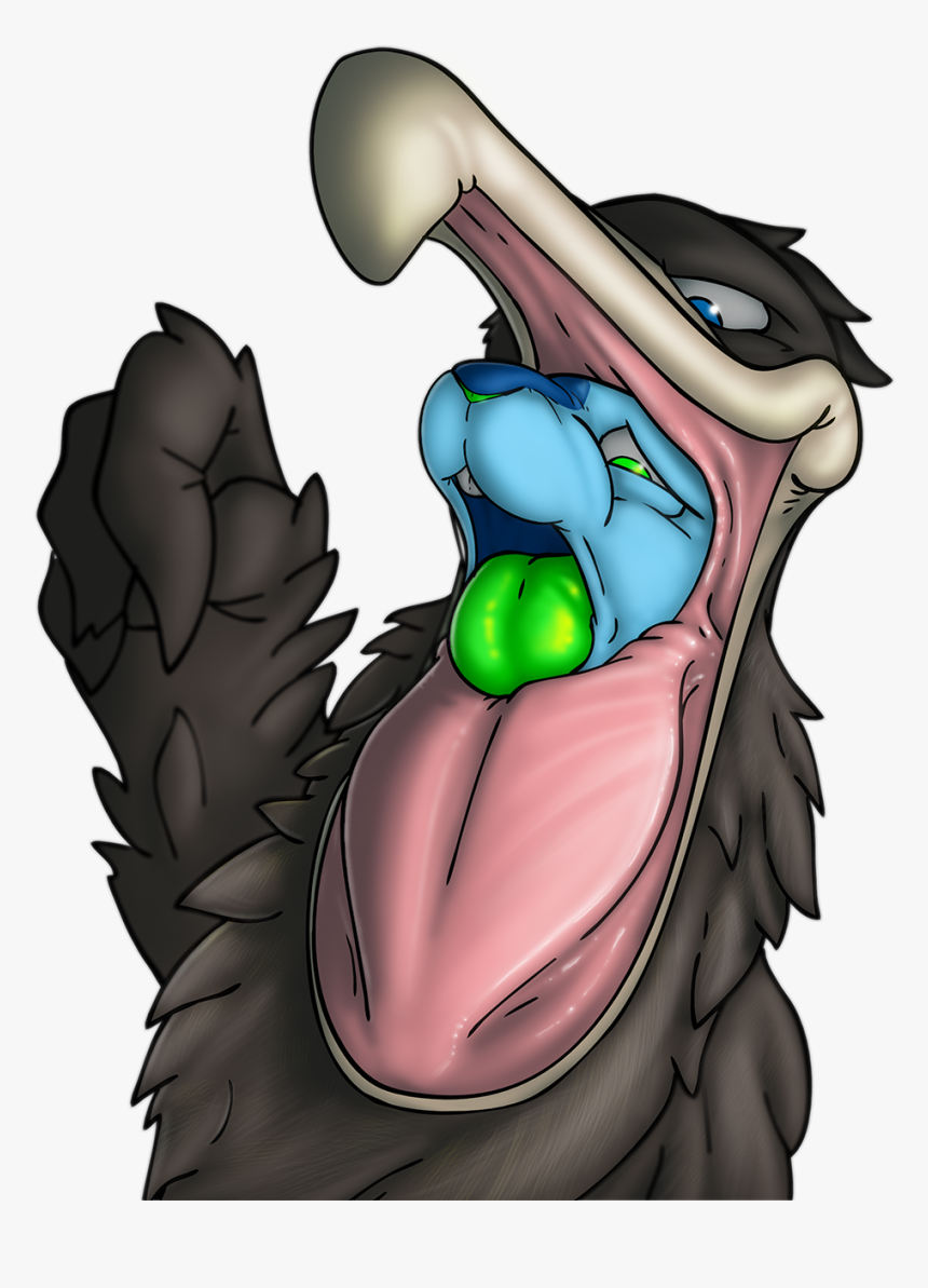 Jade Pelican Fun - Cartoon, HD Png Download
