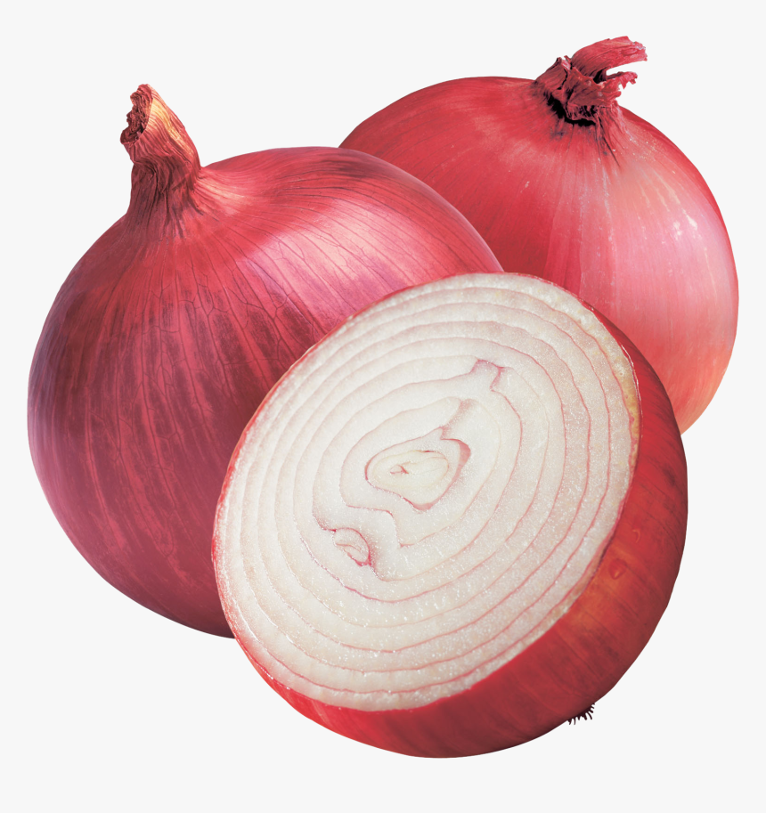 India Shallot Red Onion Vegetable Yellow Onion - Transparent Onion Png, Png Download