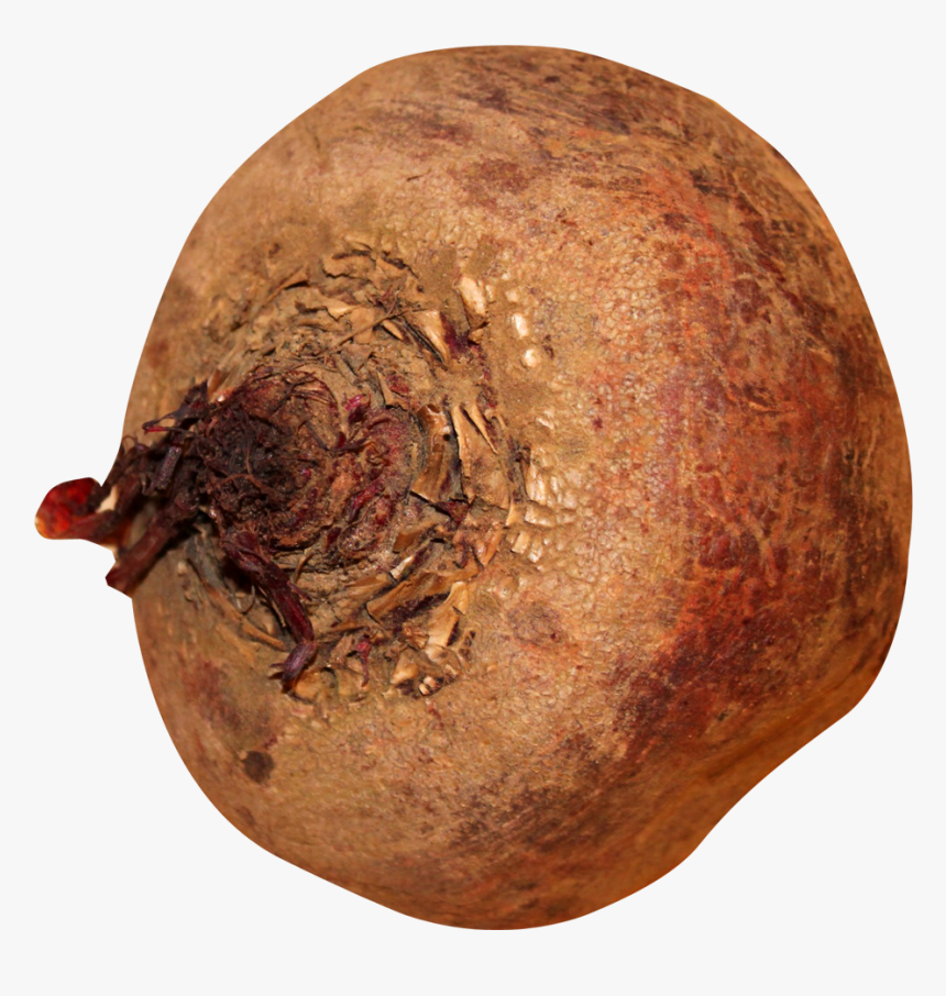 Beatroot Png, Transparent Png