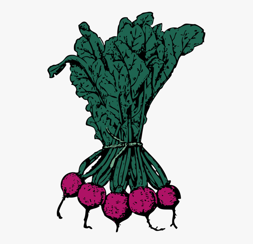 Plant,flower,leaf - Beets Clip Art, HD Png Download