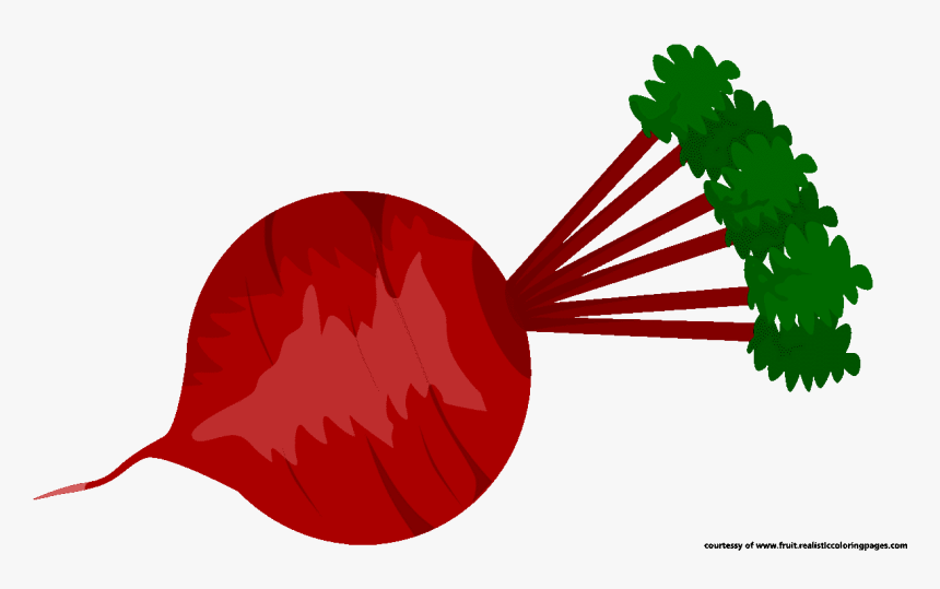 Beetroot Clipart, HD Png Download