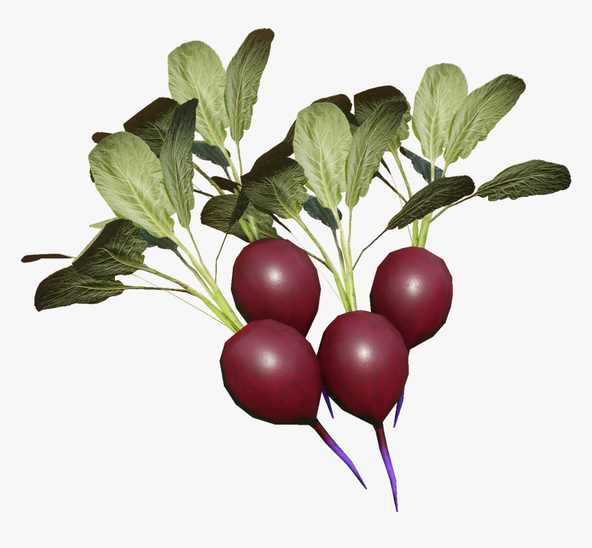 Miscreated Wiki - Beet Greens, HD Png Download