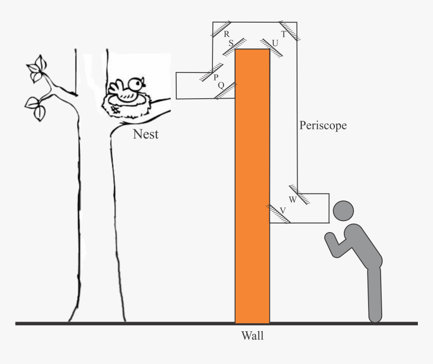 Diagram, HD Png Download