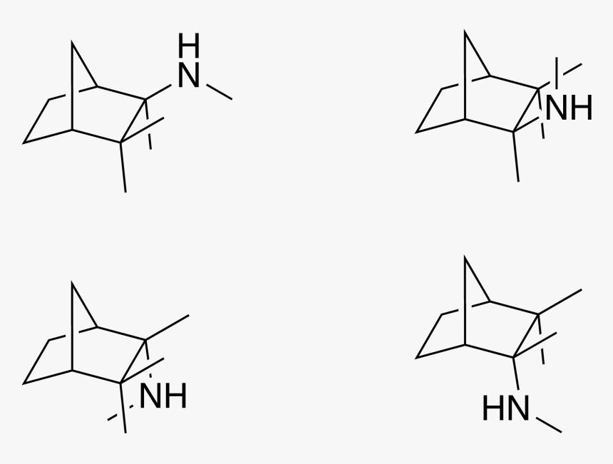 Mecamylamine Endo-exo Ideas - Drawing, HD Png Download