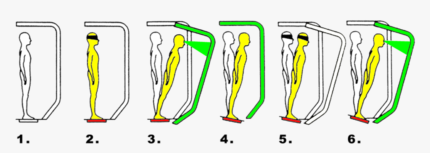 Neuro Balance - Type Of Balance In Neuro, HD Png Download