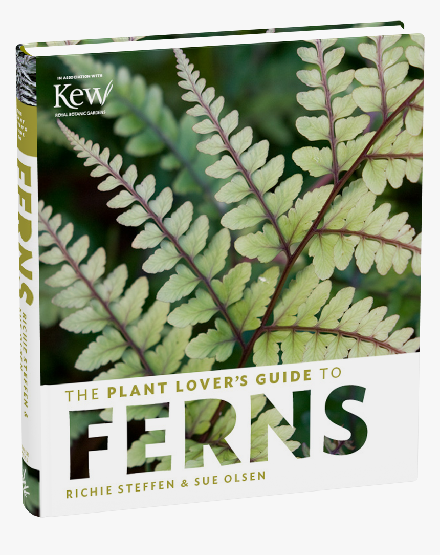 Cover, HD Png Download