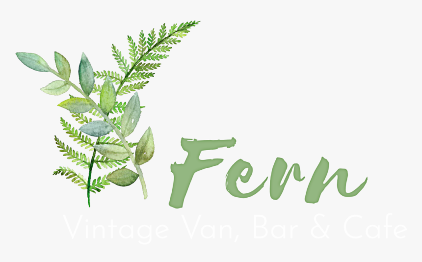 Ferns Png, Transparent Png