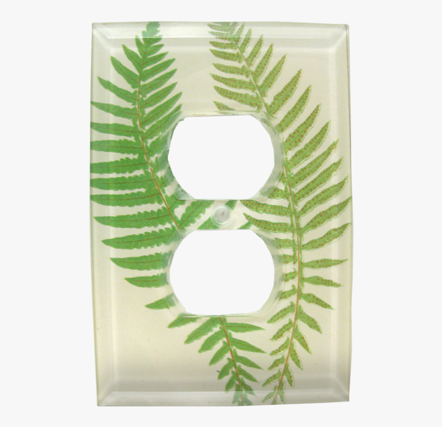 Botanical Illustration To Print, HD Png Download