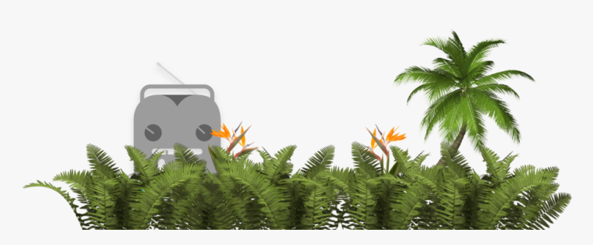 Ferns - Illustration, HD Png Download