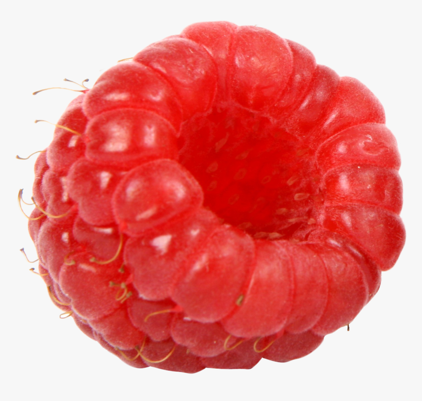 Blackberry Fruit Vs Raspberry, HD Png Download