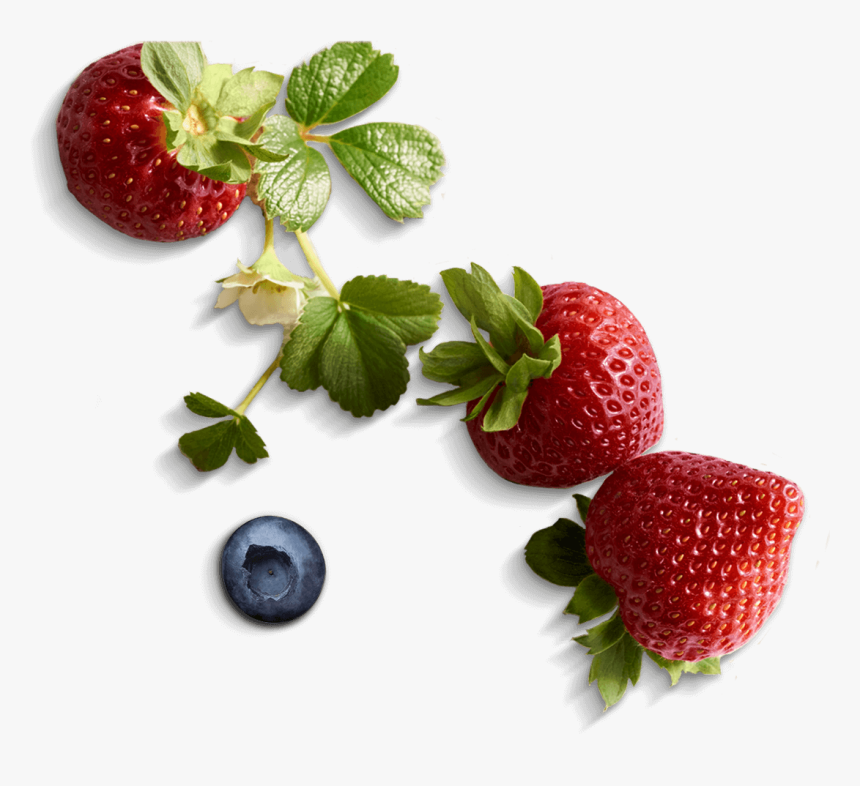 Transparent Berries Clipart - Fair Trade Driscoll's Berries, HD Png Download