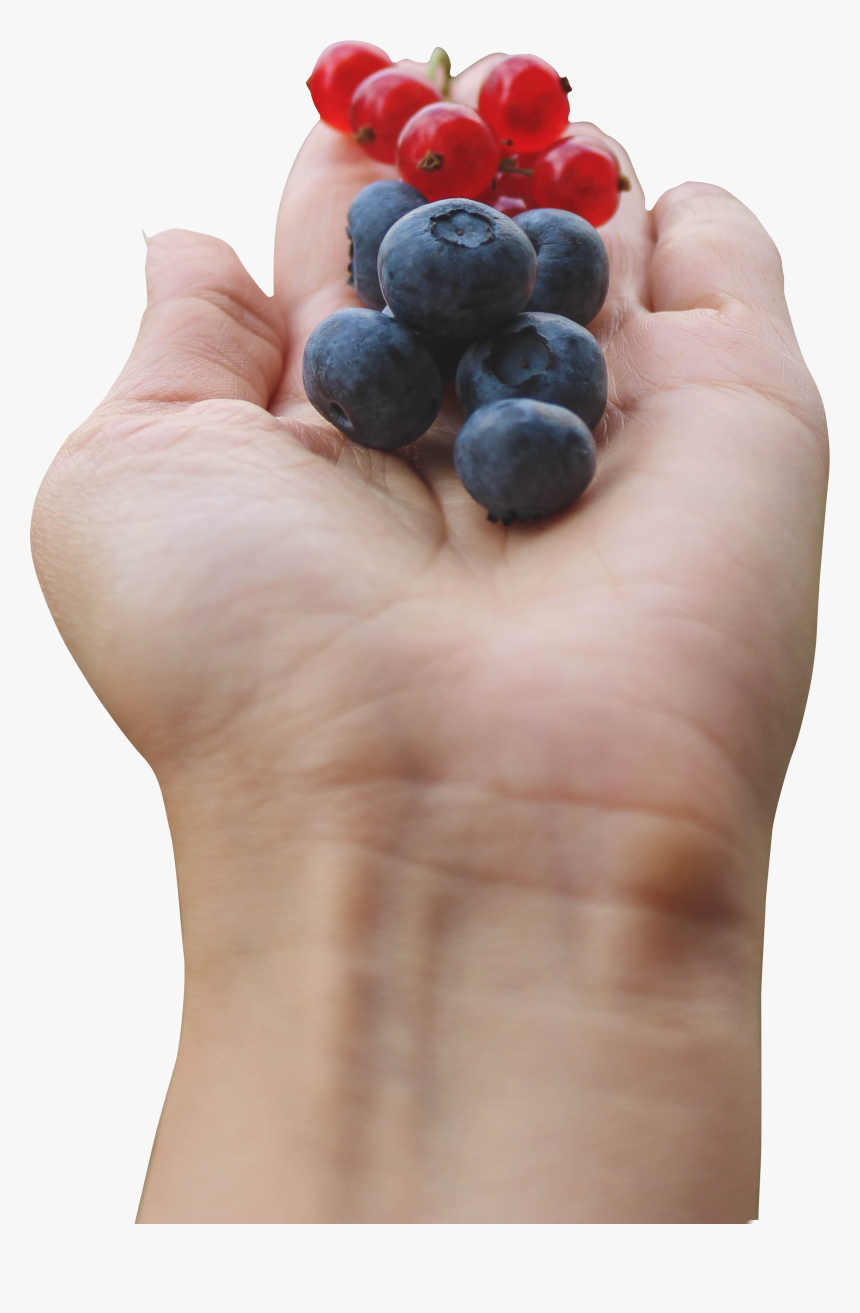 Seedless Fruit, HD Png Download